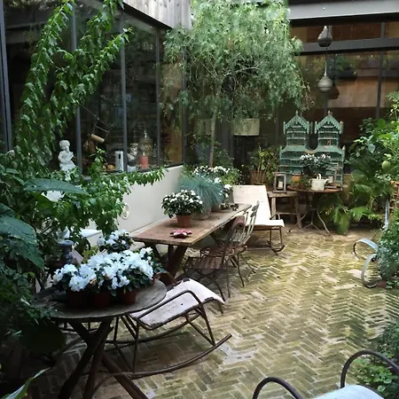 Bed & Breakfast La Maison Rousseau D'hotes Nîmes